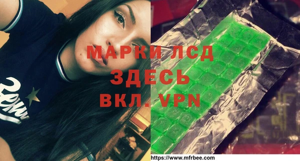 ECSTASY Алзамай