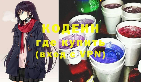 apvp Снежногорск