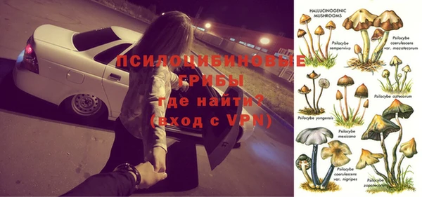 бошки Алексеевка