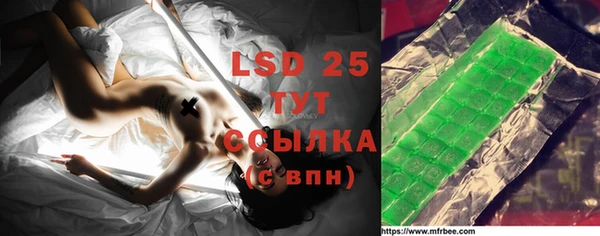 ECSTASY Алзамай
