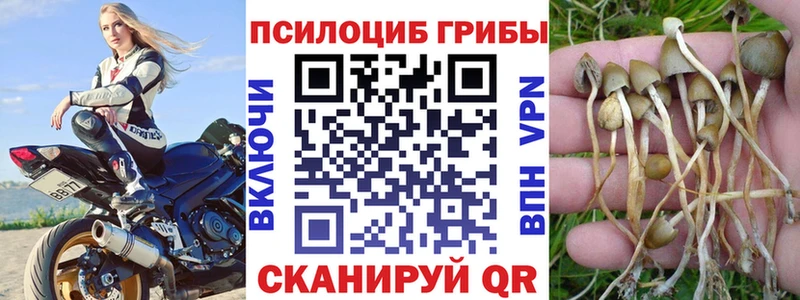 купить наркотики цена  Каргат  Галлюциногенные грибы GOLDEN TEACHER 