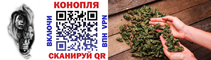 Марихуана индика Каргат